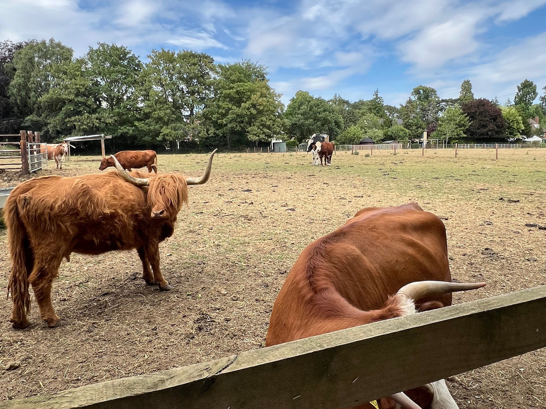 Rutland Farm Park-奥克姆必去景点