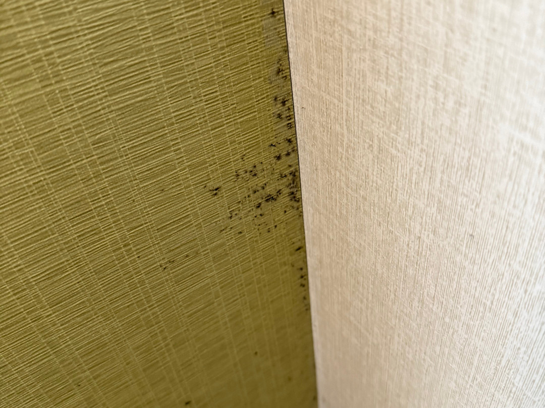 Holiday Inn Express Chelmsford by IHG主图