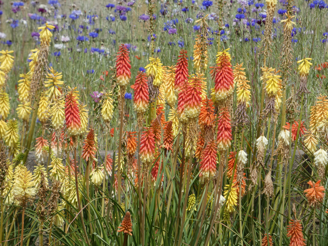 Durham University Botanic Garden-达勒姆必去景点