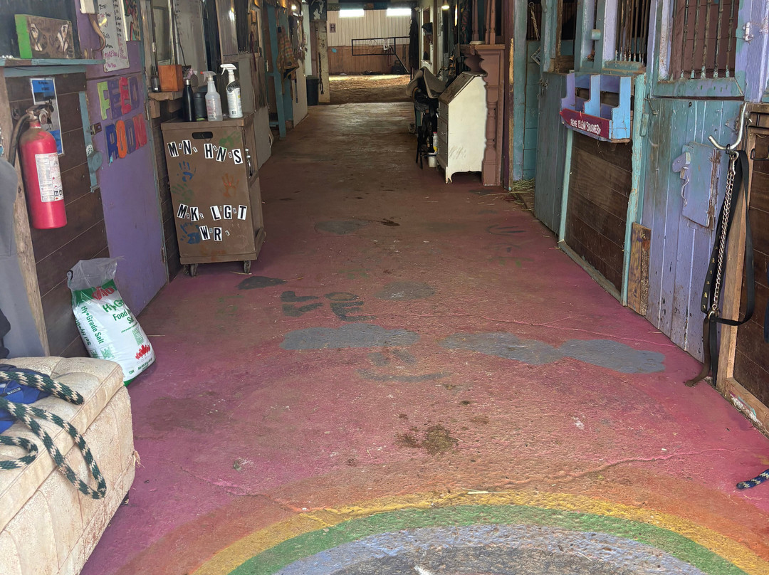 Venture Stables-Kensington必去景点