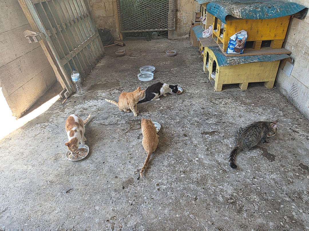 Manoel Island-格齐拉必去景点