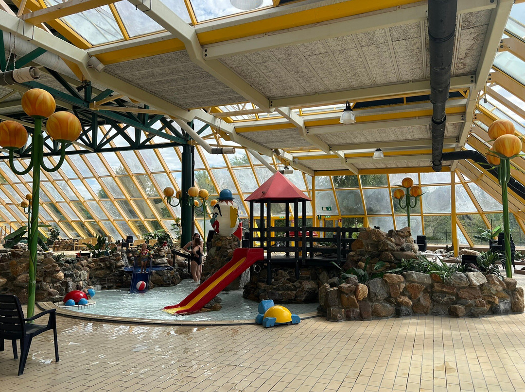 Oostappen Zwemparadijs Hengelhoef-Houthalen必去景点