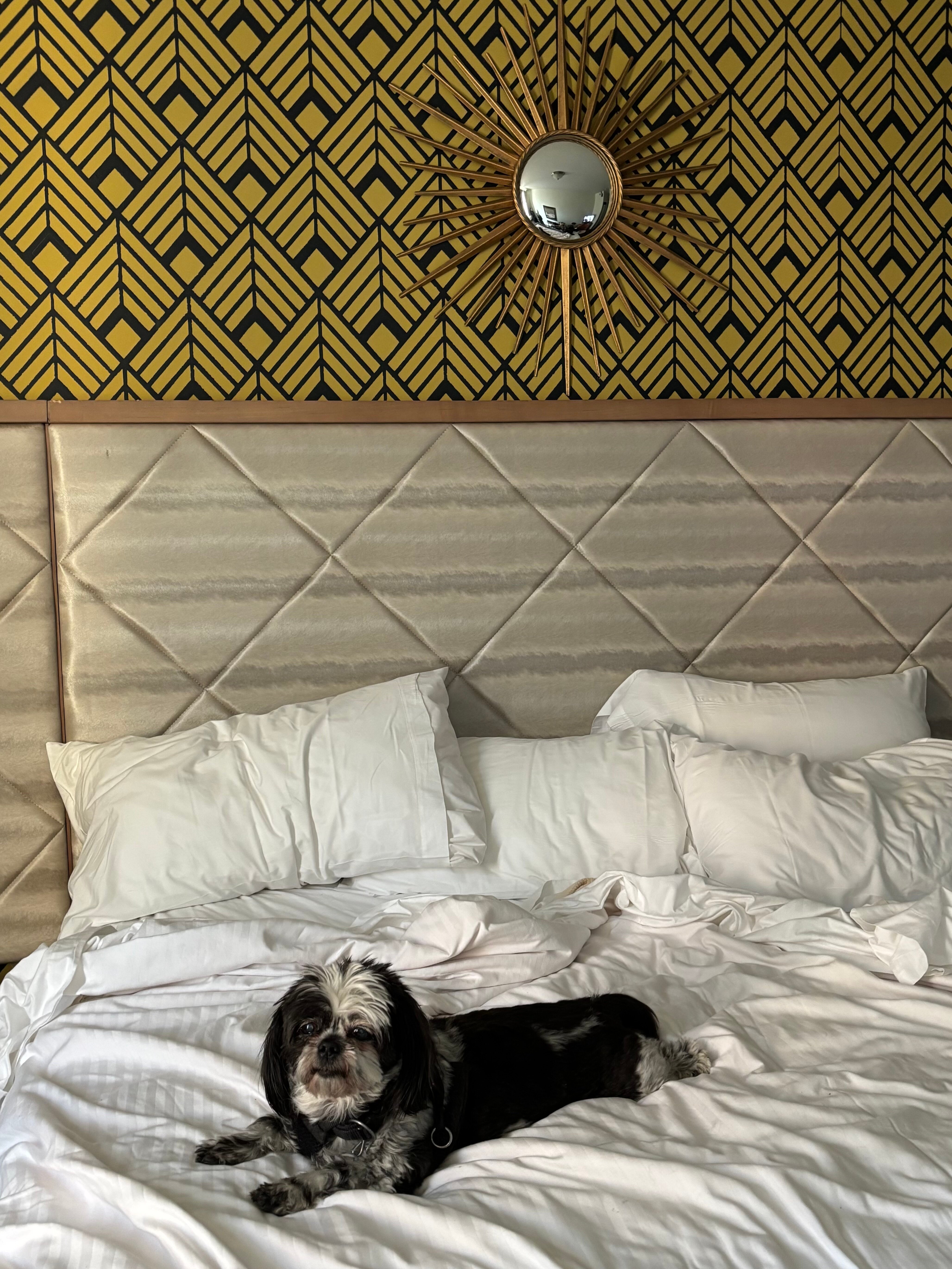 Latchis Hotel-官方