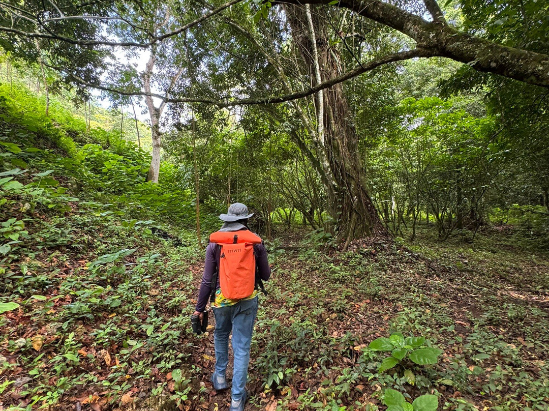 Booking Adventures-Sabana de la Mar必去景点