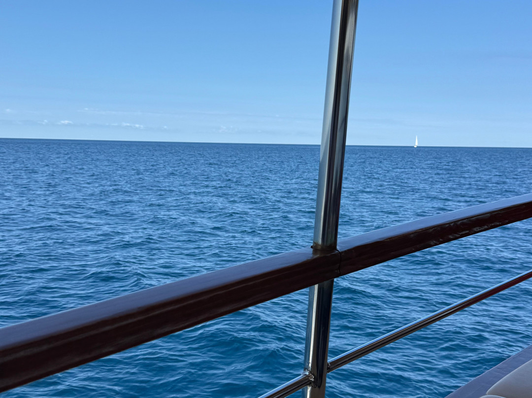 Burin Dolphin excursion Pula-普拉必去景点