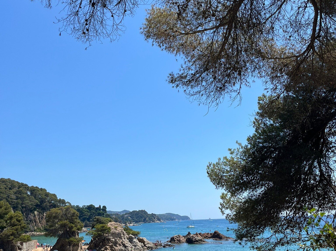 Playa de Santa Cristina-犹兰特德玛必去景点