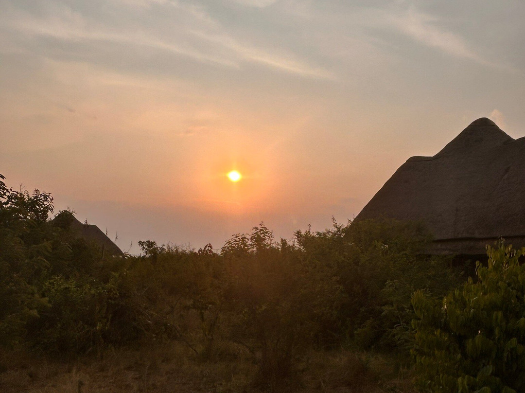 Aardvark Safari Lodge主图