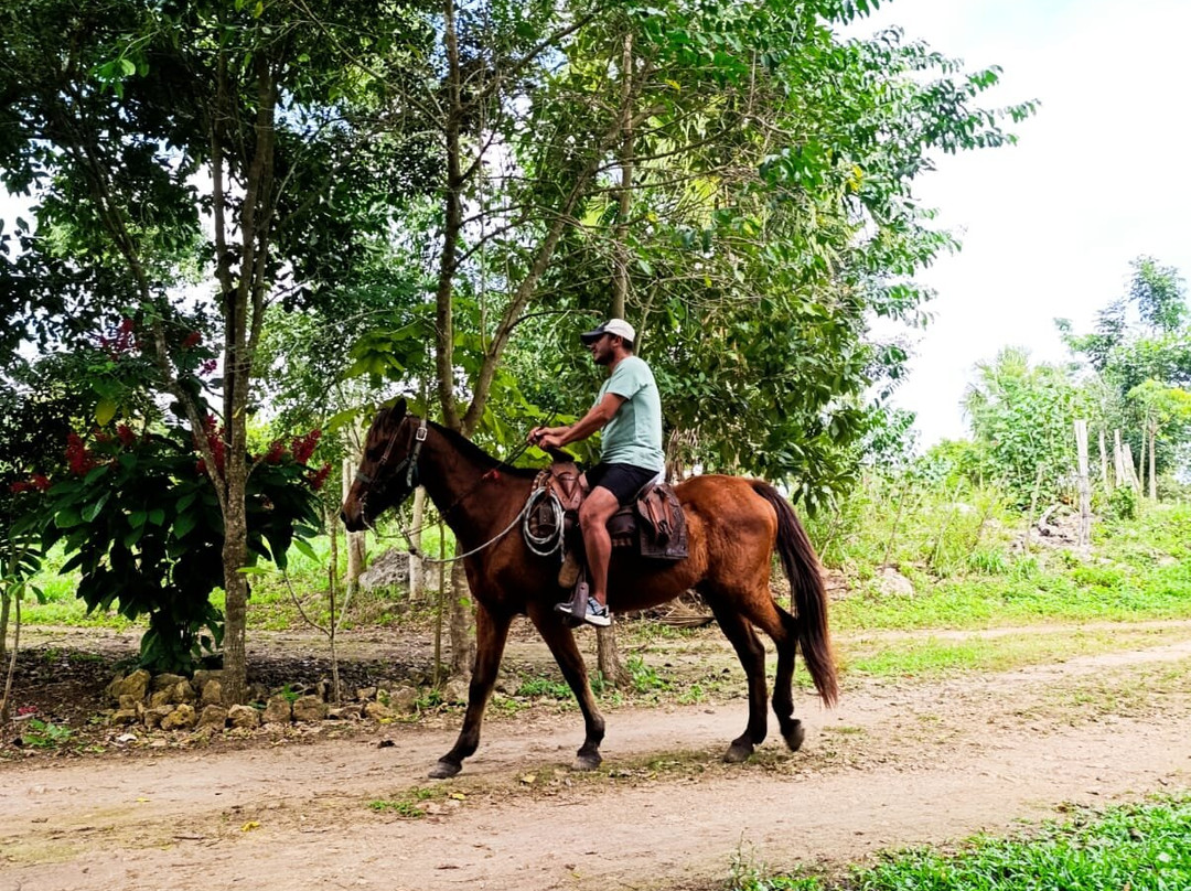 Cenote La Casa De Los Pájaros-Tizimin必去景点