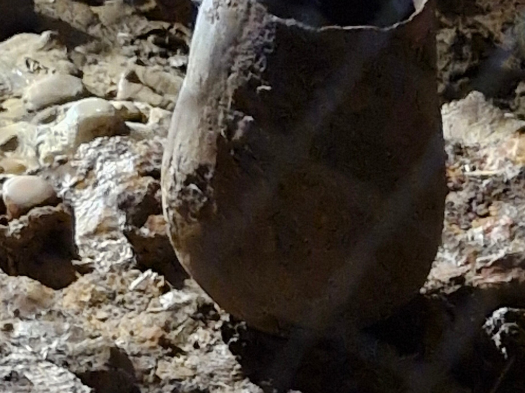 Grotte de Foissac-Foissac必去景点