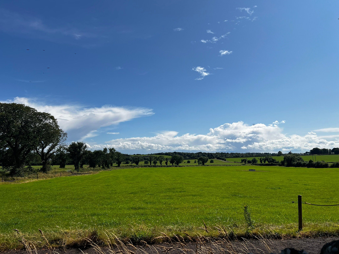 Monasterboice Monastic Site-County Louth必去景点