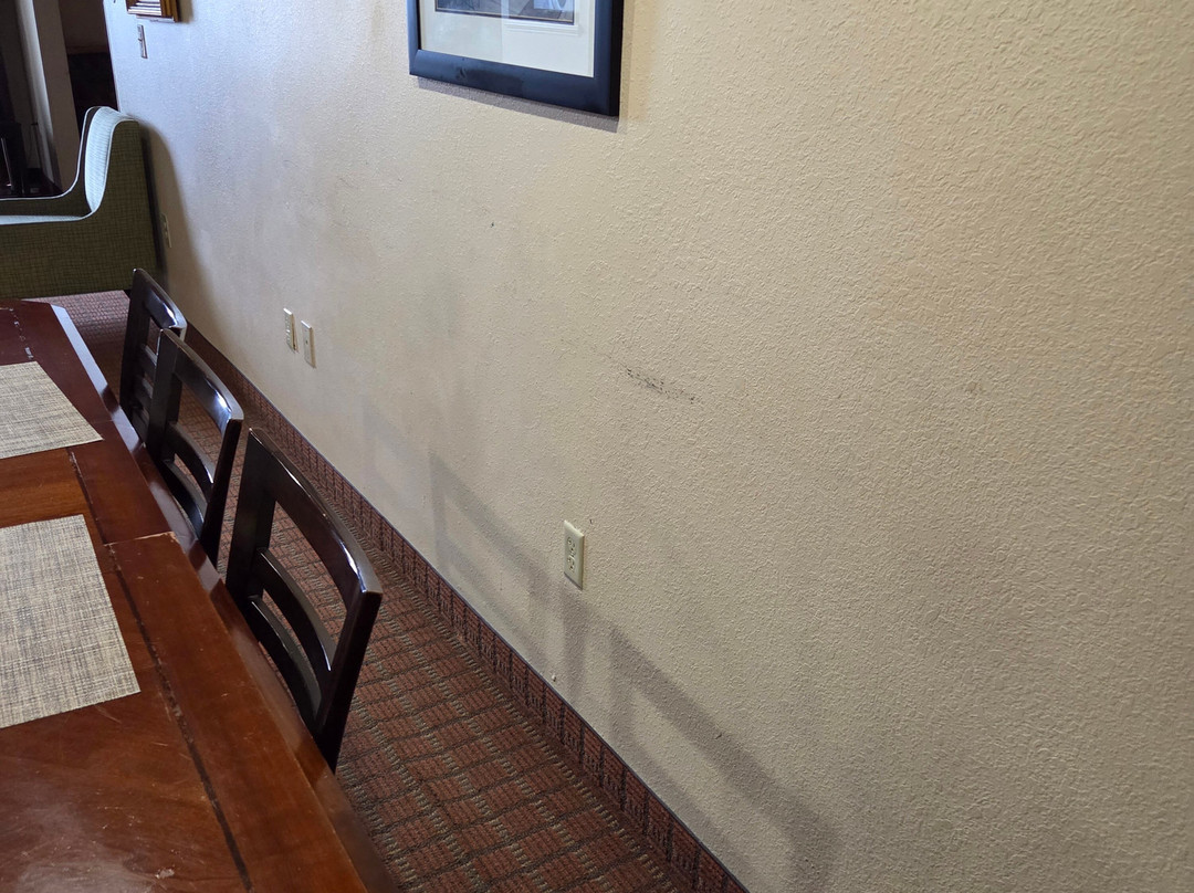 Holiday Inn Express & Suites Laurinburg by IHG主图