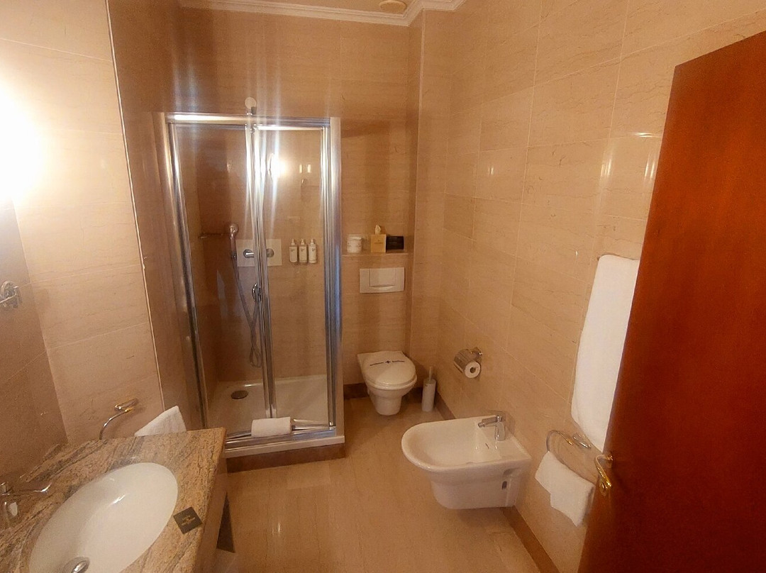 Grand Hotel Palladium主图