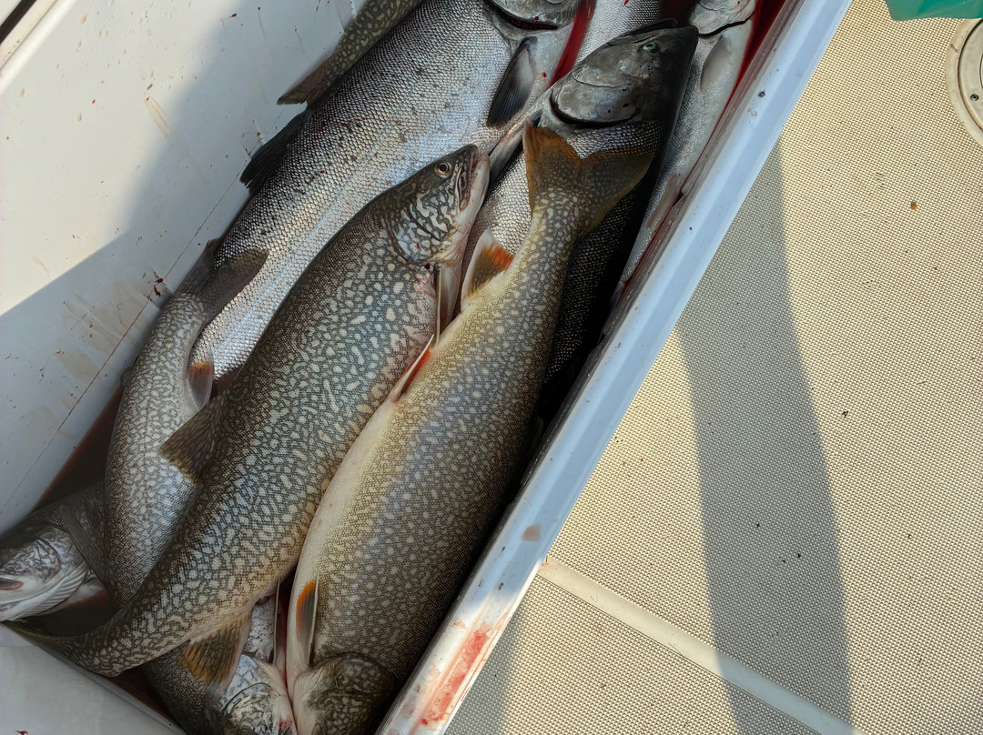 Tiny Bubbles Sport Fishing Charters-Frankfort必去景点