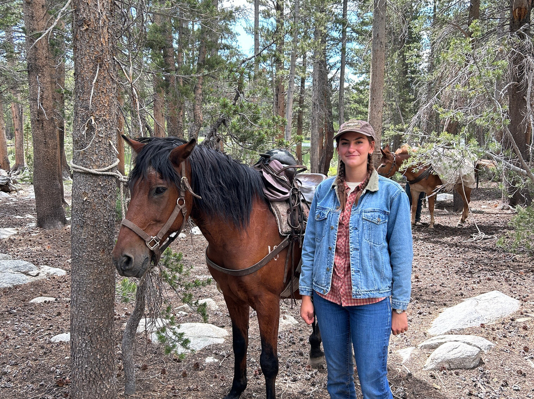 Rock Creek Pack Station-毕晓普必去景点