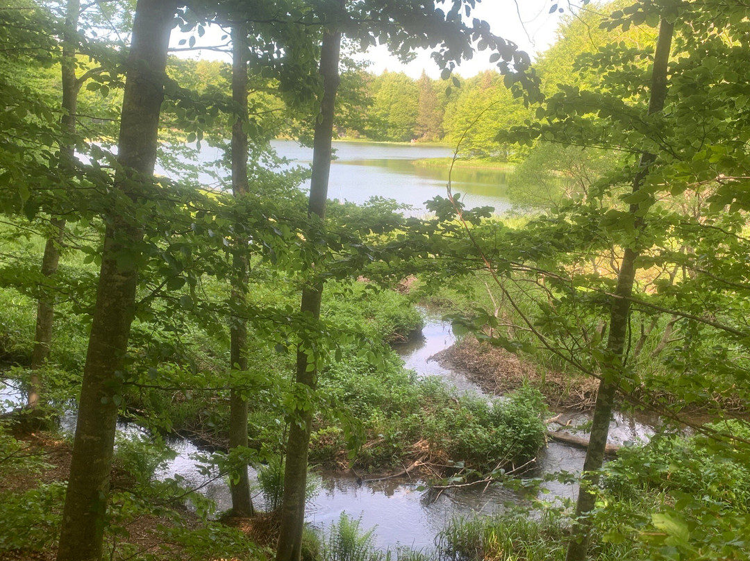 Hotel Cristallo主图