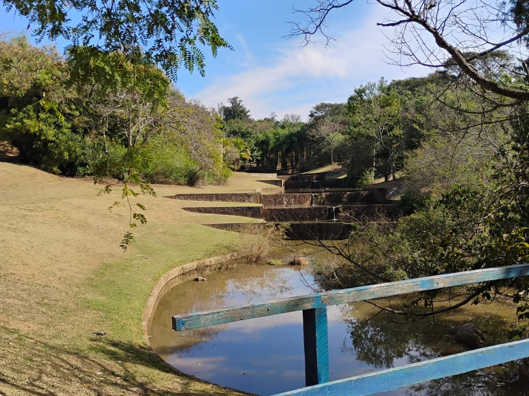 Parque Ecologico Monsenhor Emilio Jose Salim-坎皮纳斯必去景点