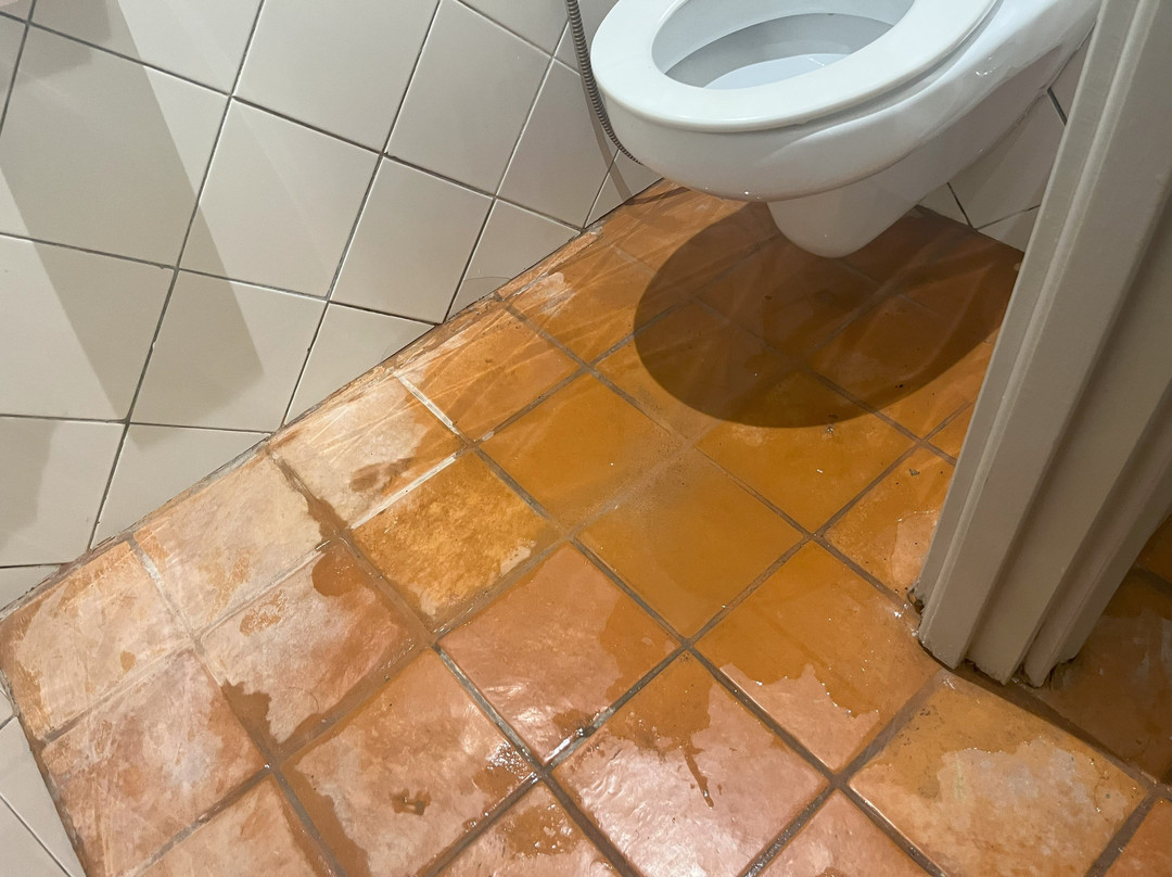 伊波罗之星贝利塞尔酒店主图