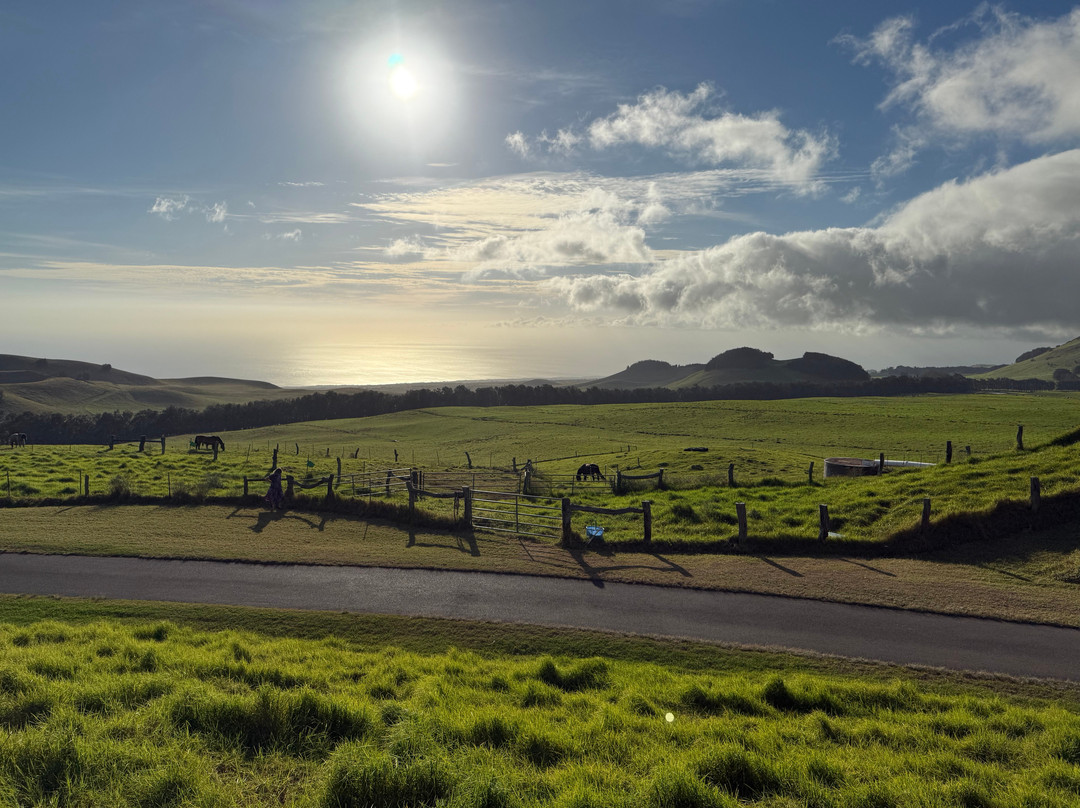 Paniolo Bbq Dinner-卡慕也拉必去景点