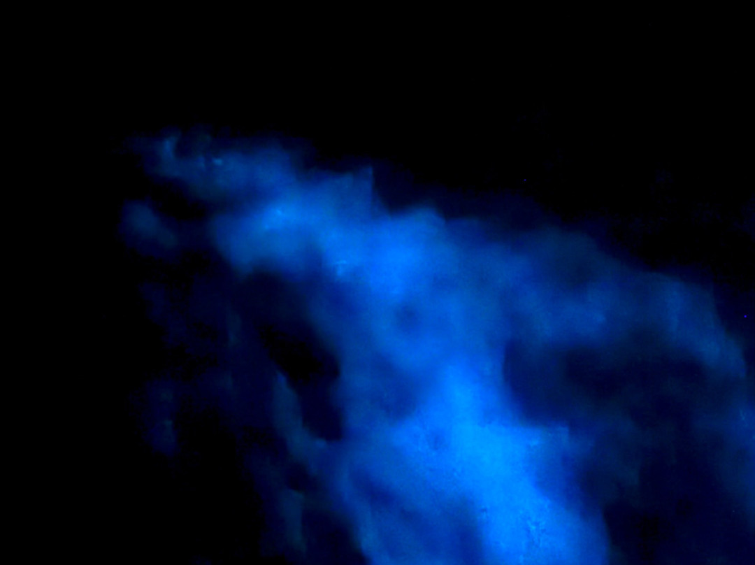 A Day Away Kayak Tours-泰特斯维尔必去景点