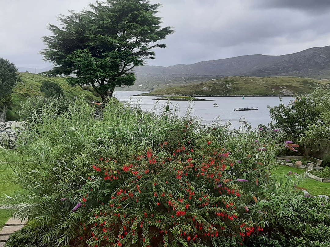 Two Harbours Guest House主图