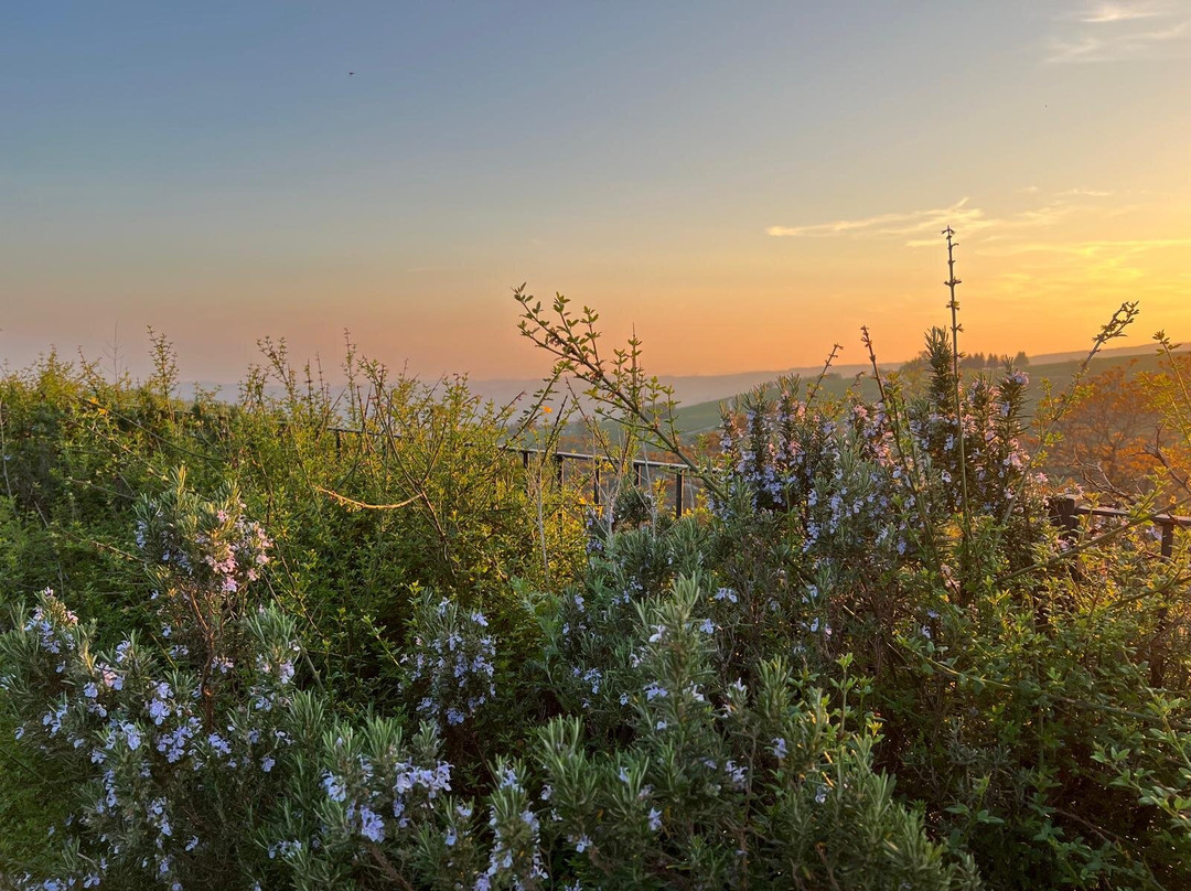La Collina dei Ciliegi-Grezzana必去景点