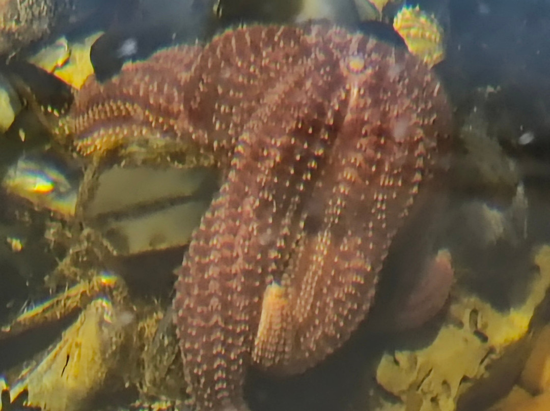 Fundación Ecocentro-马德林港必去景点