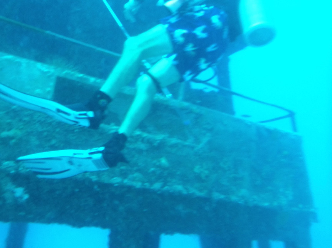 Blue Water Divers & Watersports-Sandys Parish必去景点