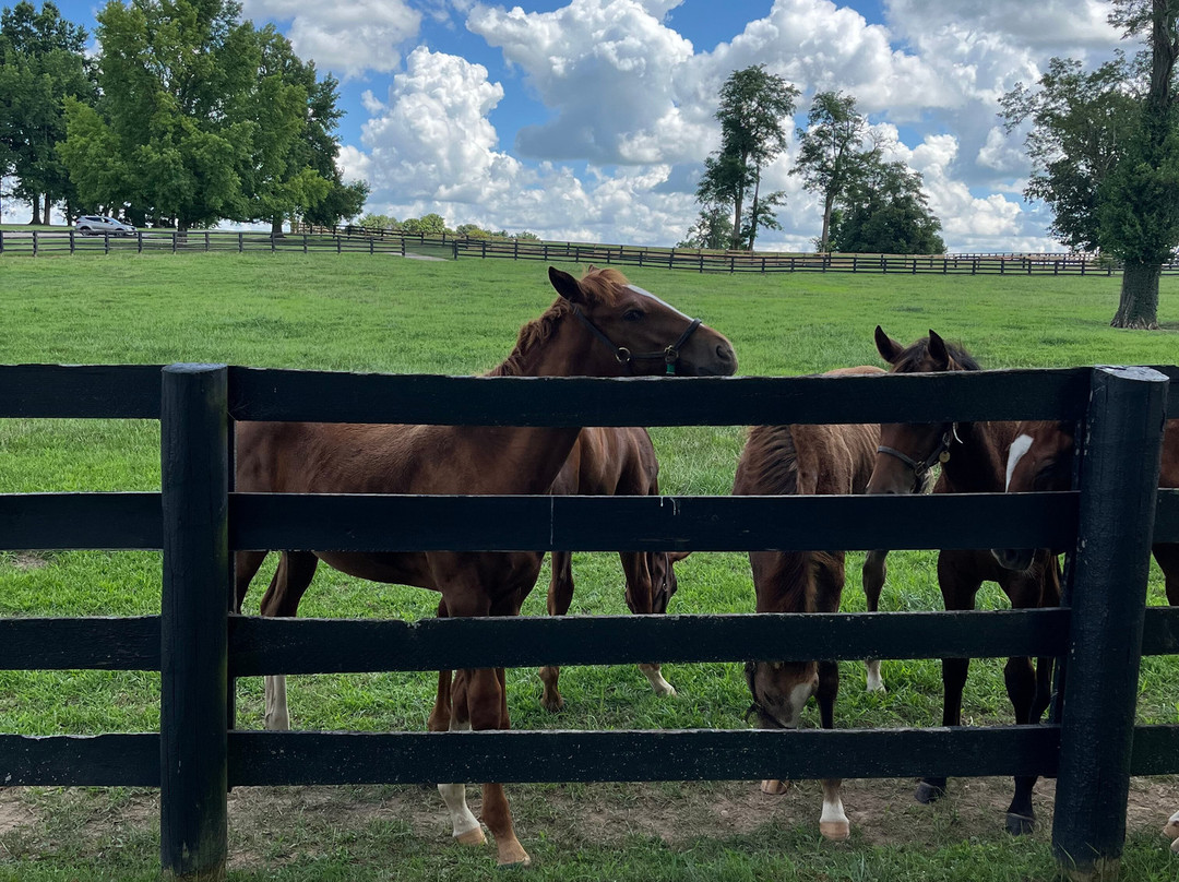 Lane's End-Versailles必去景点