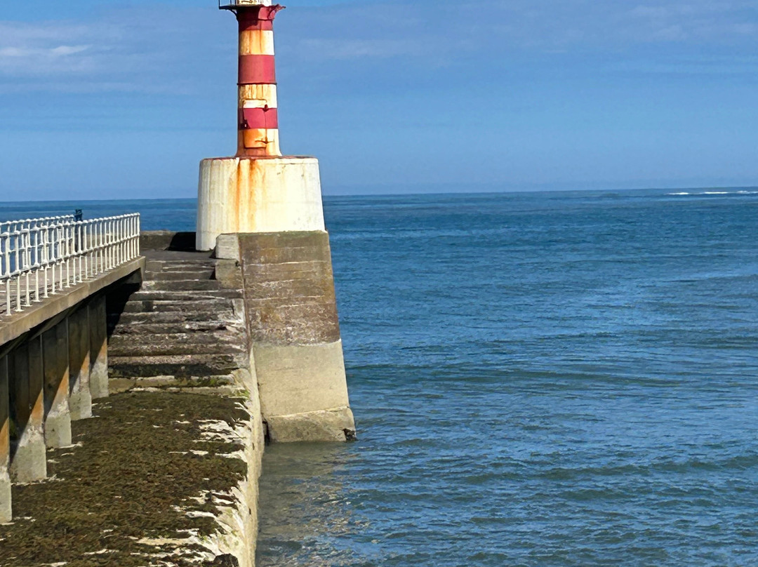 Amble boat trips-Amble必去景点