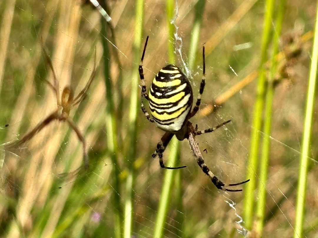 Hals Mose-Hals必去景点