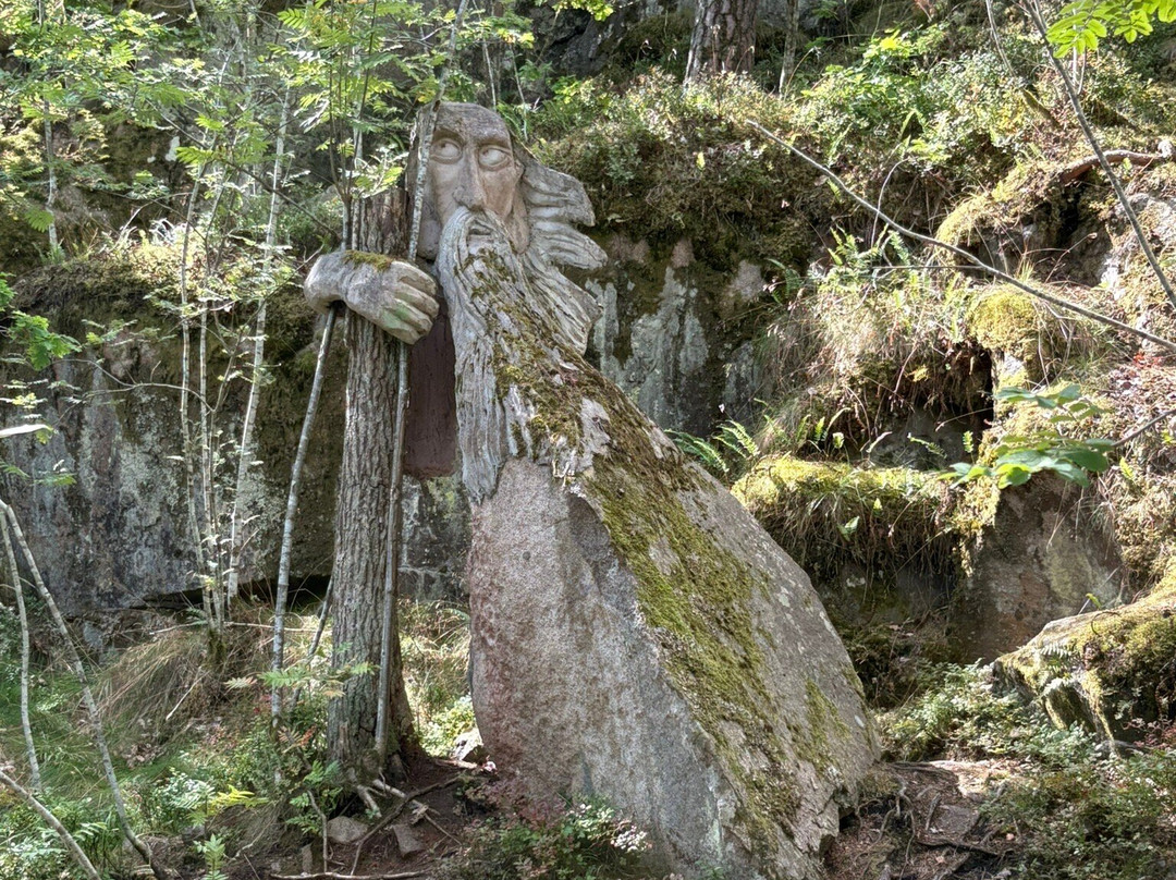 Gamleby Trollskogen-Gamleby必去景点