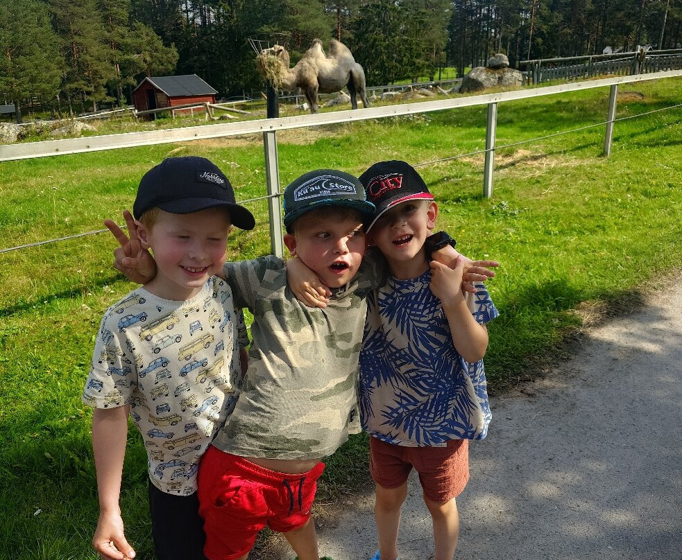 Junsele Djurpark-Junsele必去景点