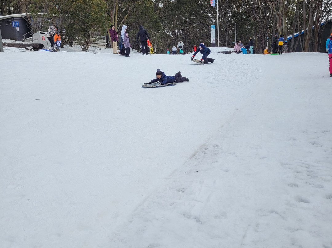 Mount Baw Baw Alpine Resort-Mount Baw Baw必去景点