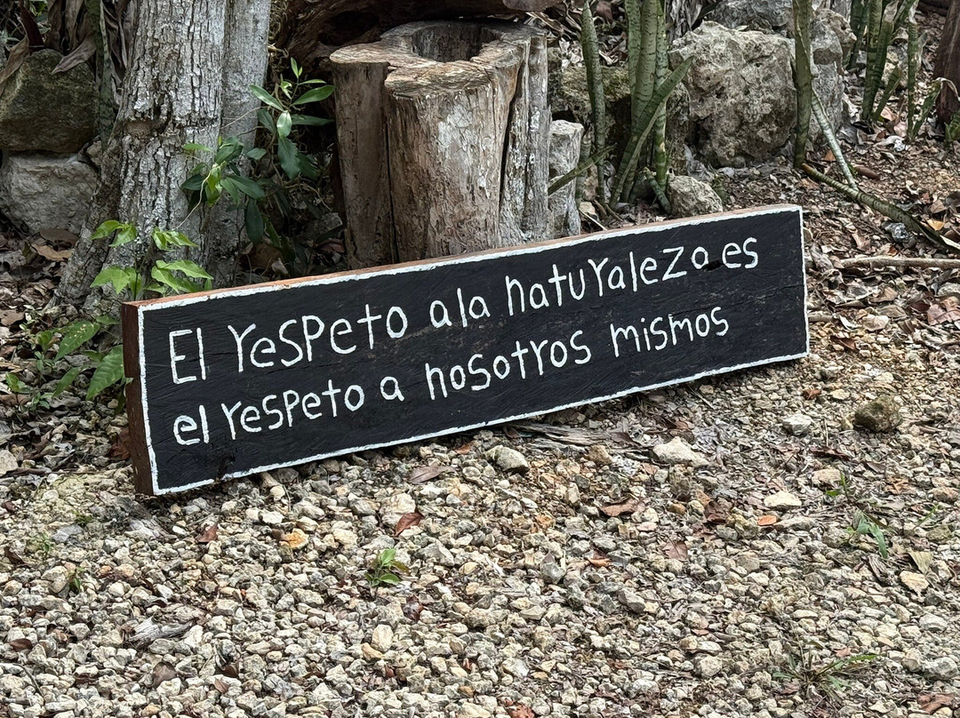 Parque Ecoturistico Cenote Aktun Bej-图伦必去景点