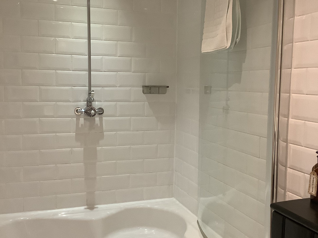 The New White Lion主图