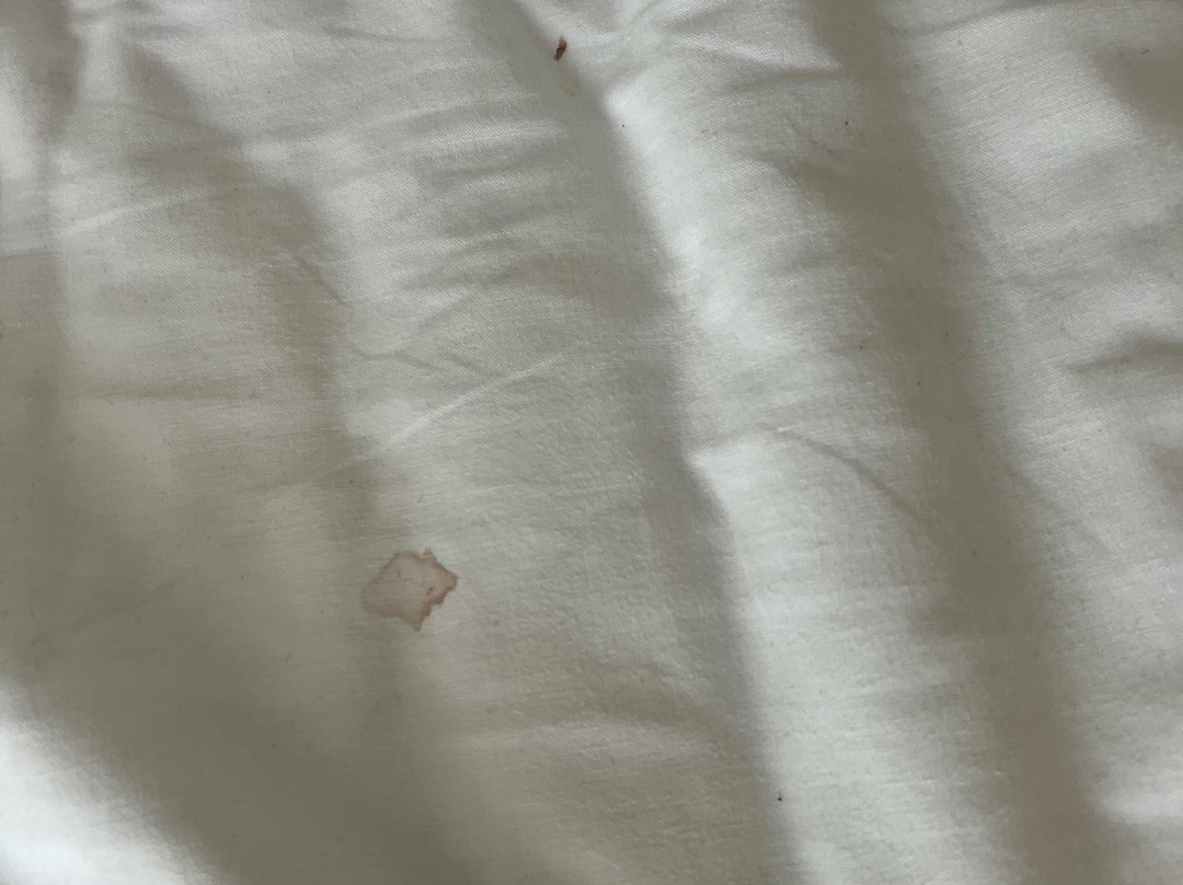 Travelodge Littlehampton Rustington主图