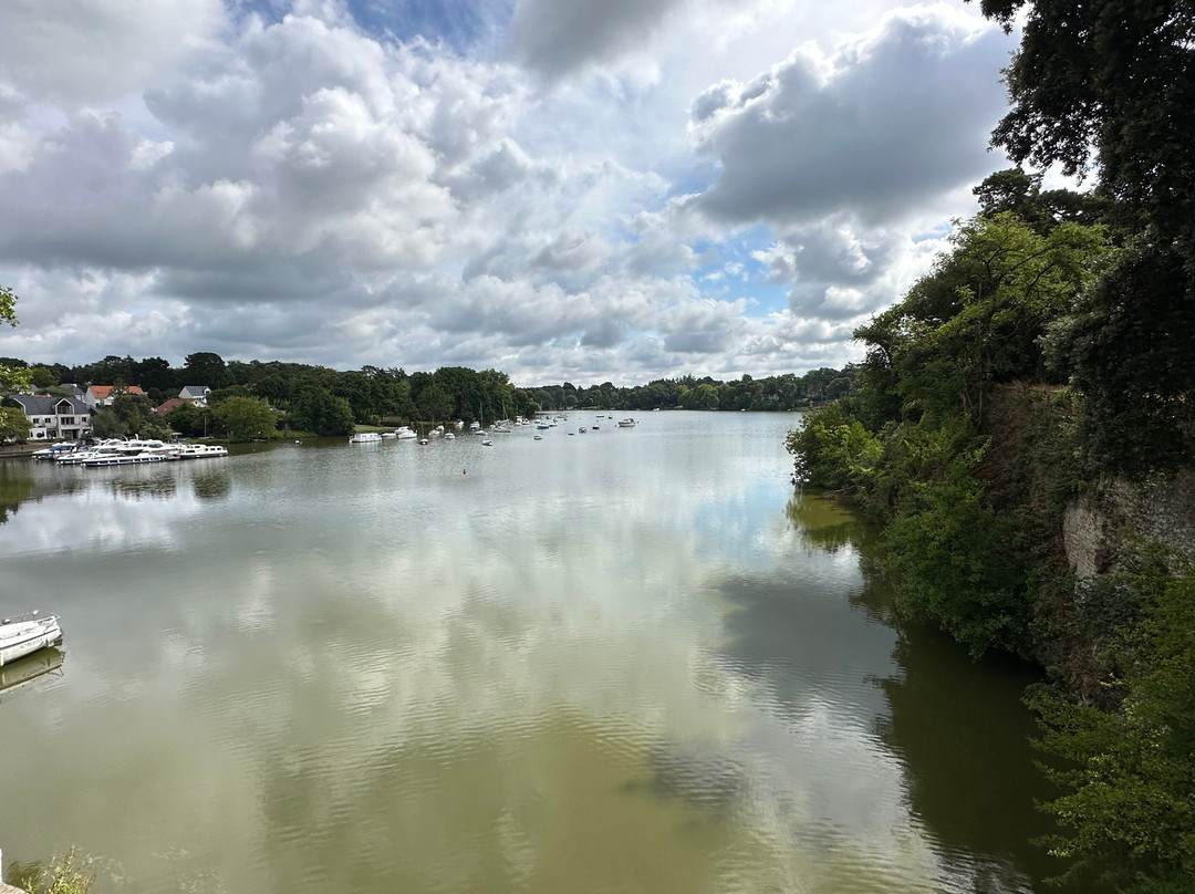 Les Arbres Rouges主图