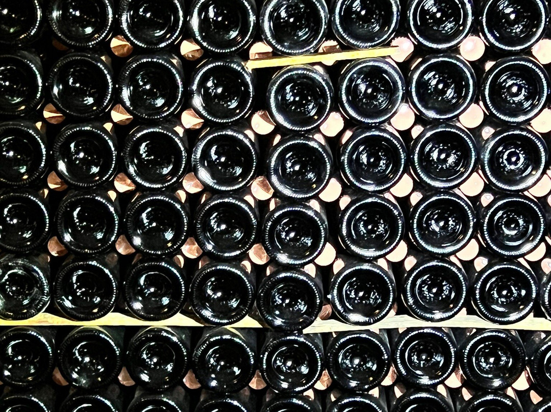 Langlois Crémant de Loire-梭缪尔必去景点