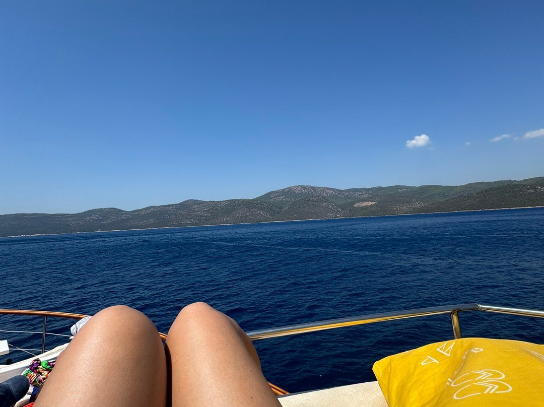 Bayside and Tora Boat Tours-博德鲁姆必去景点