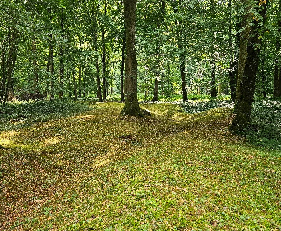 Delville Wood War Memorial-Longueval必去景点