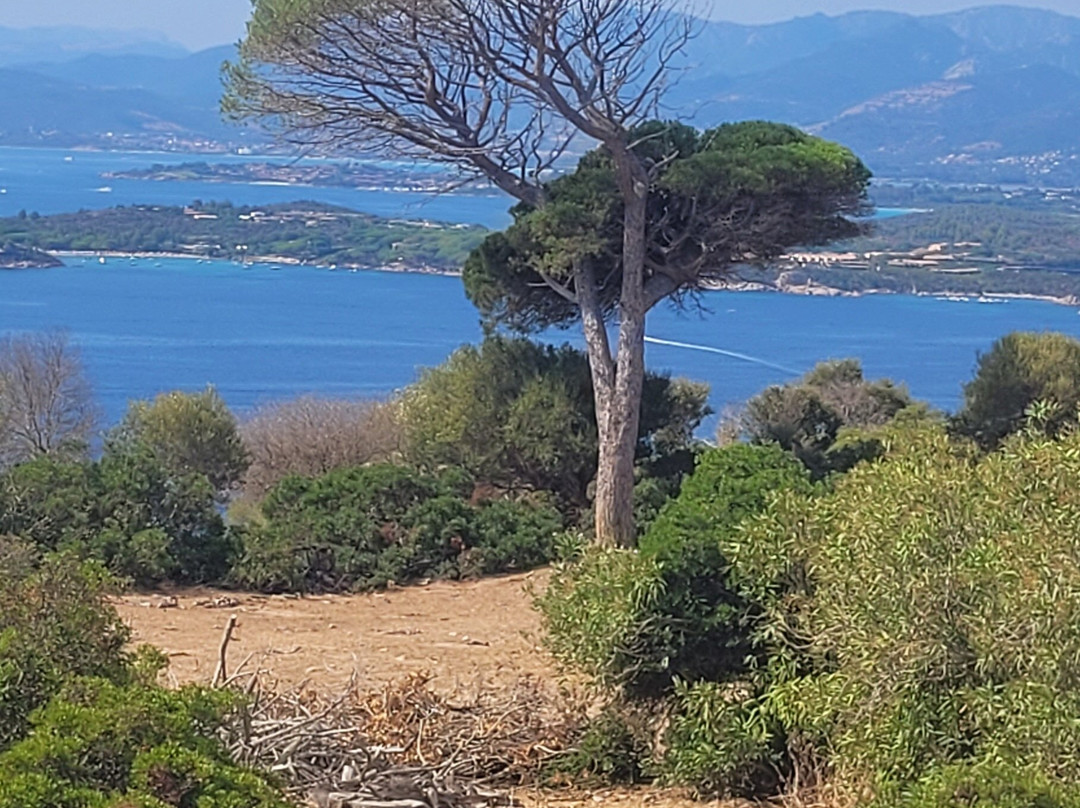 Associazione Molara-奥尔比亚必去景点