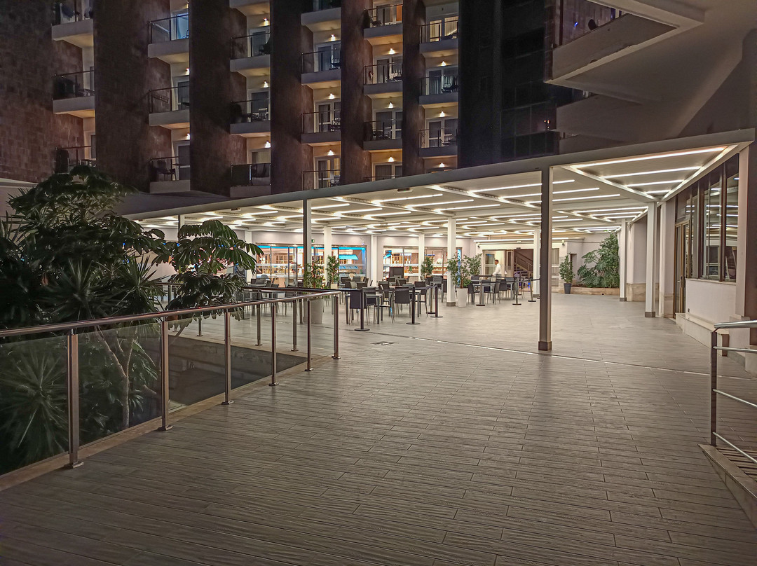 阿利坎特美利亚酒店主图