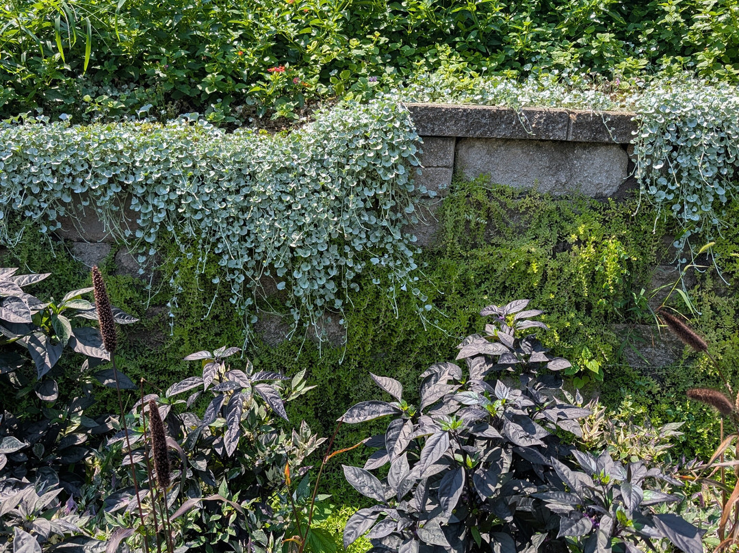 Sunken Gardens-林肯必去景点