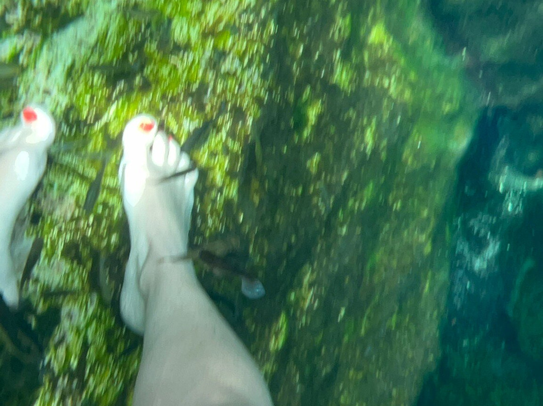 Cenote Cristalino-普拉亚德尔卡曼必去景点