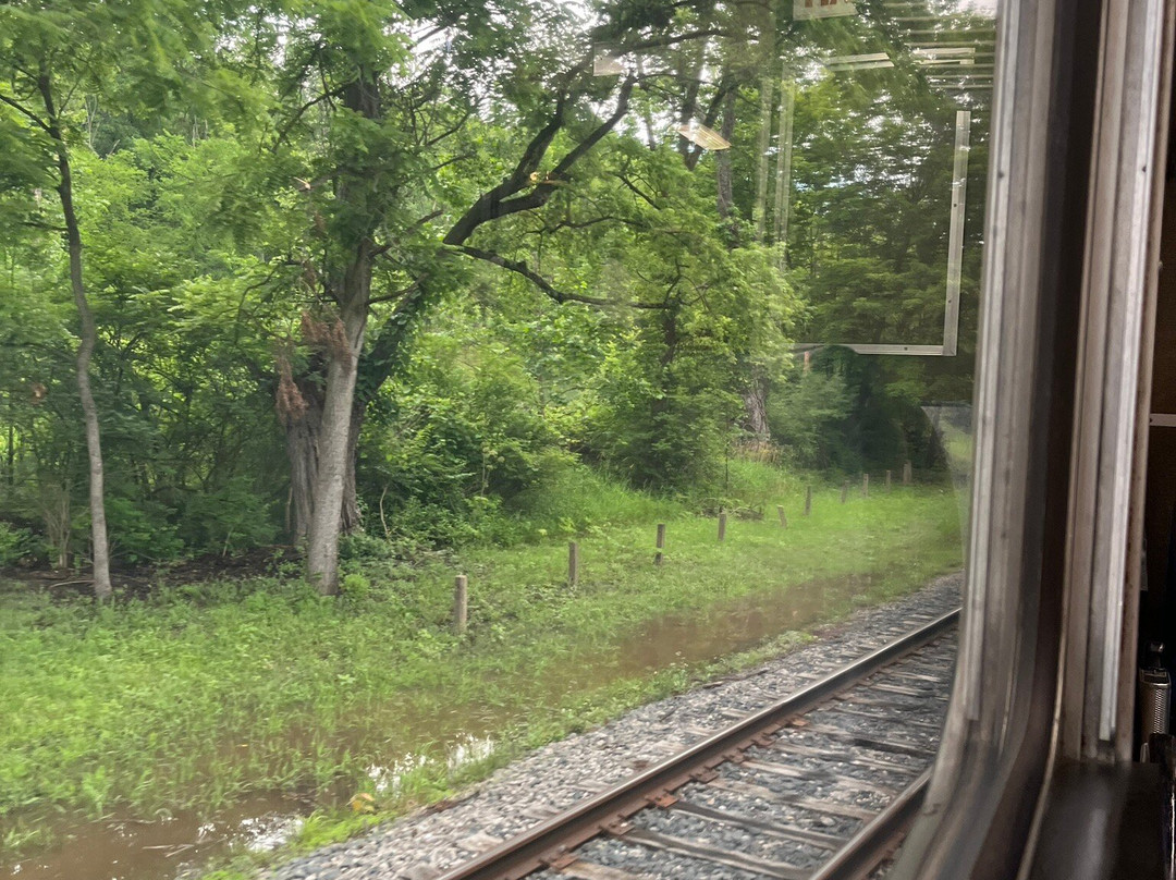 山谷风景区铁路-Peninsula必去景点