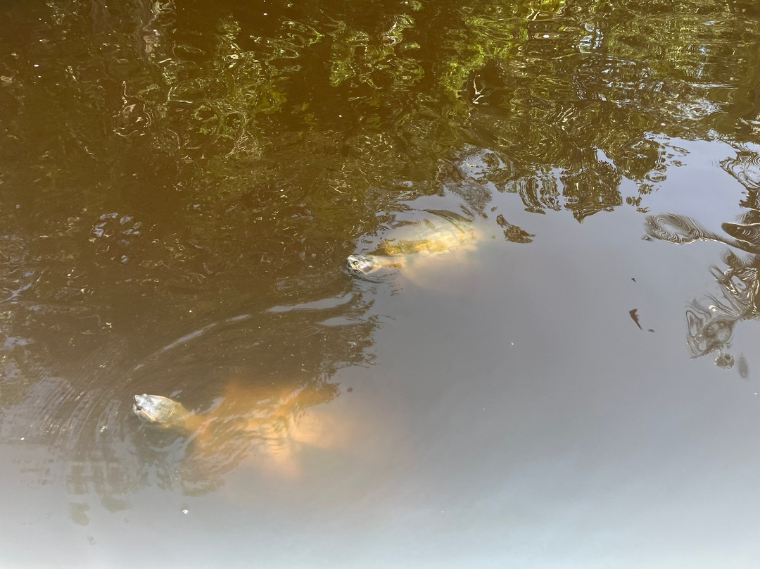 La Ventanilla-La Ventanilla必去景点