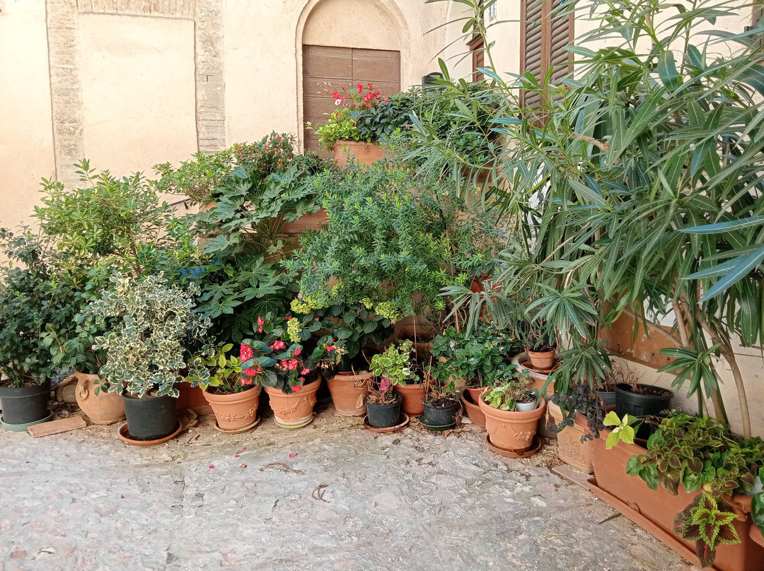 Vicolo Fiorito-Trevi必去景点