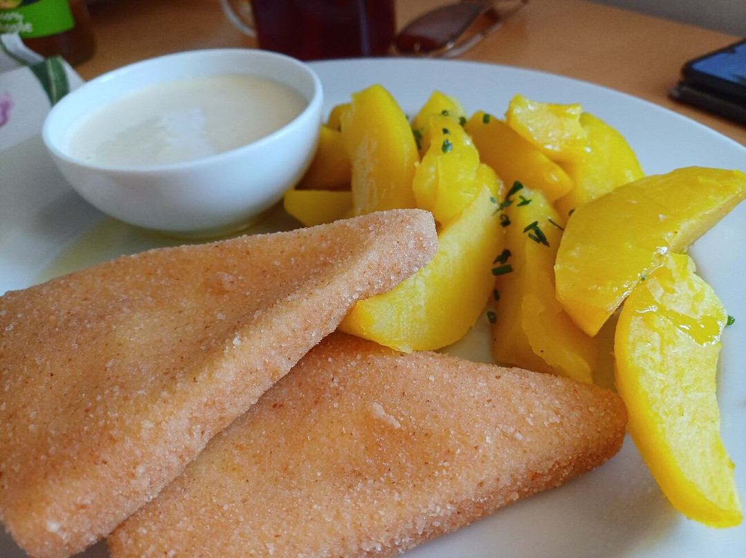 Hotel Friesovy Boudy主图