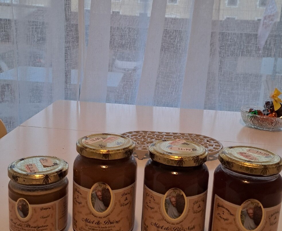 La Maison de l'Abeille-La Roche-Bernard必去景点