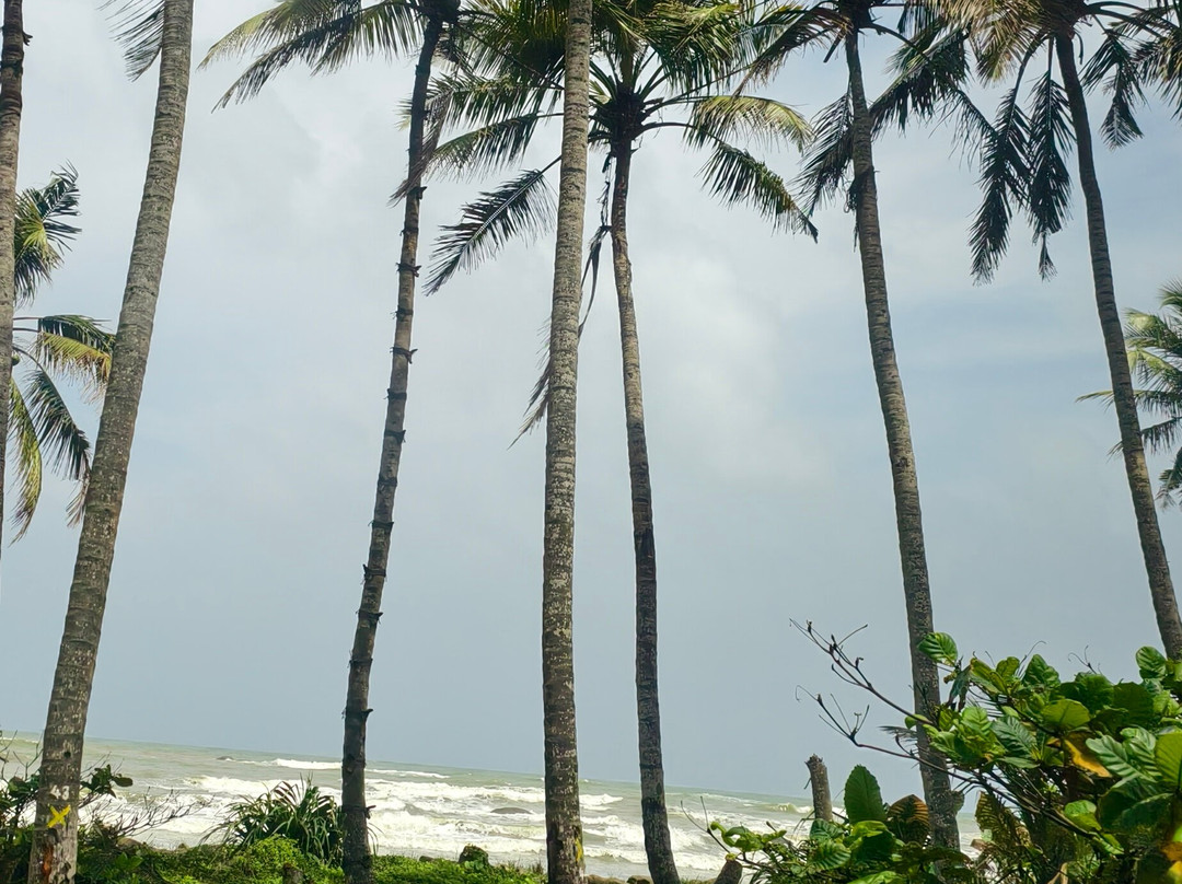 Ceylon Recall Tours-Homagama必去景点